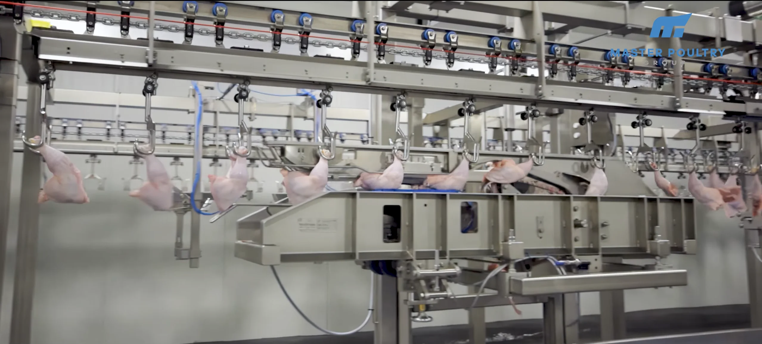 2020 - Automated Portioning